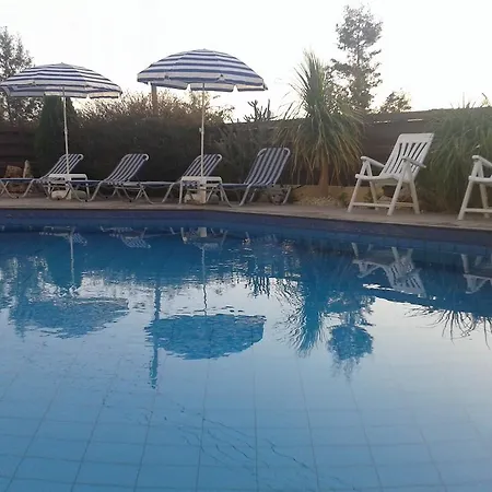 Arilena Pafos