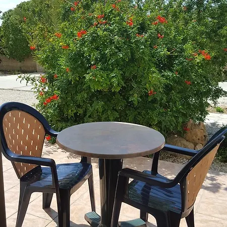 Arilena Pafos