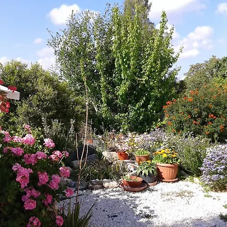 Apartament Arilena Pafos