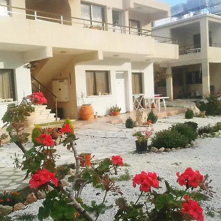 Arilena * Pafos